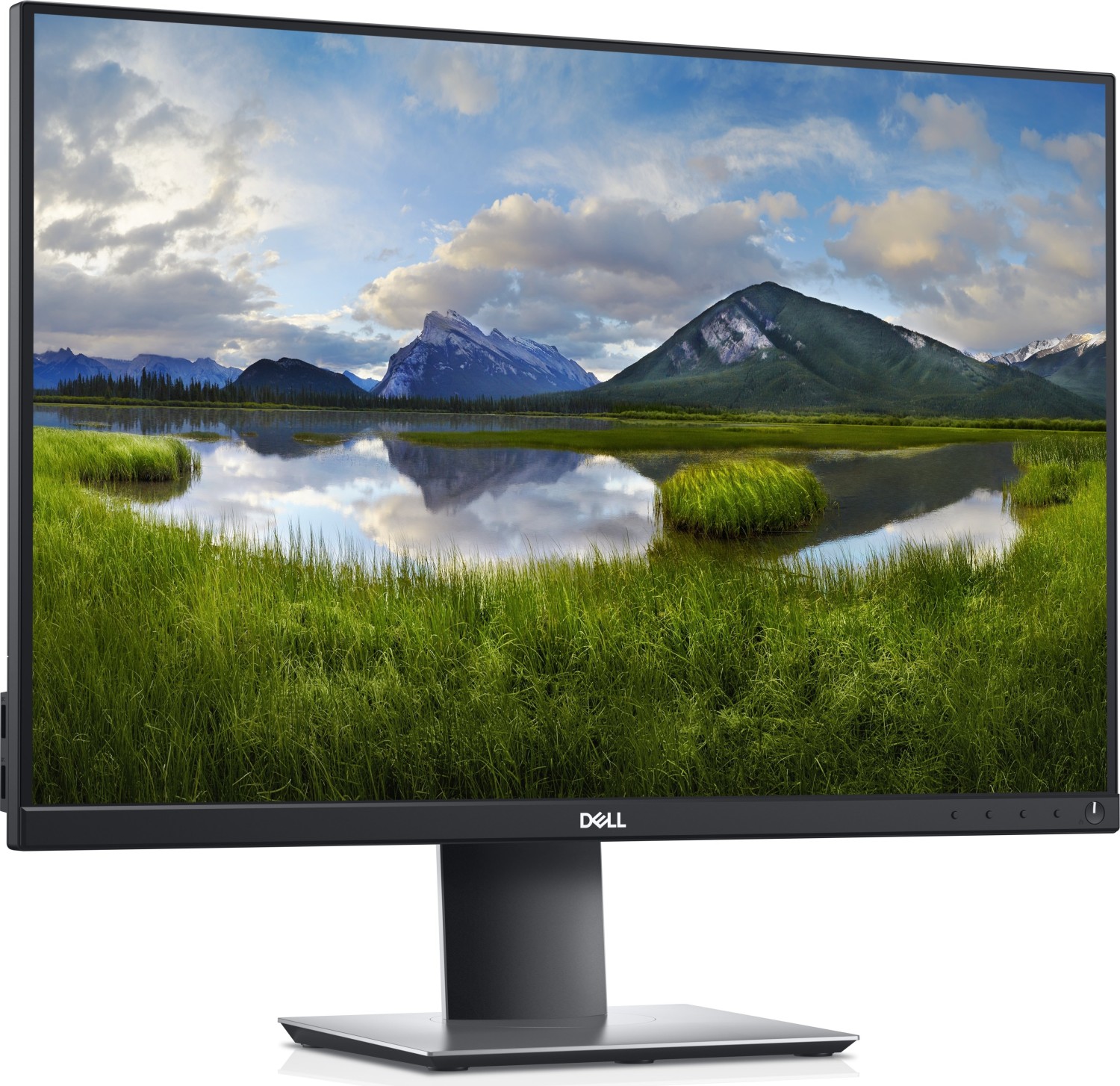 Dell P2421 | 24.1