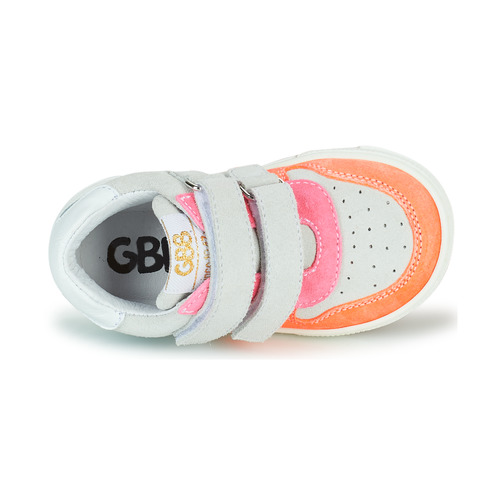 GBB - TASMINA - Rose