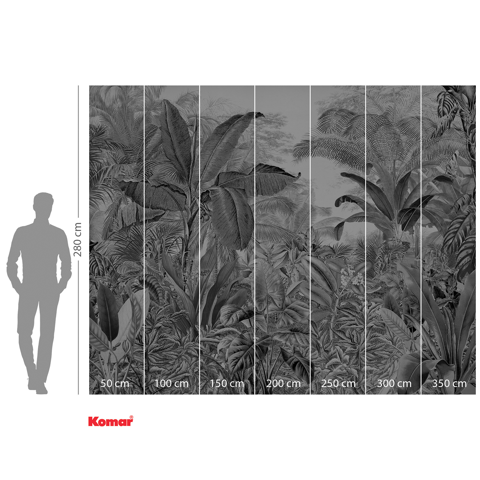 Vlies-Fototapete RORAIMA - schwarz-weiß - 350x280 cm