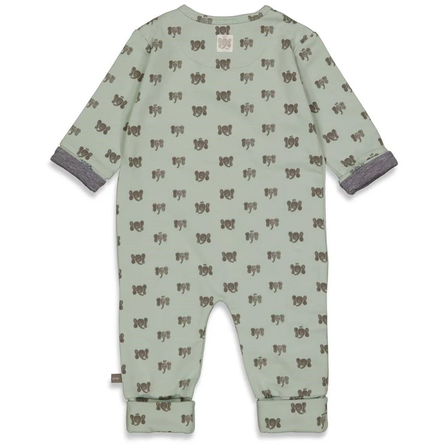 Feetje Schlafanzug mit Klappfuß Hi Elephant Mint