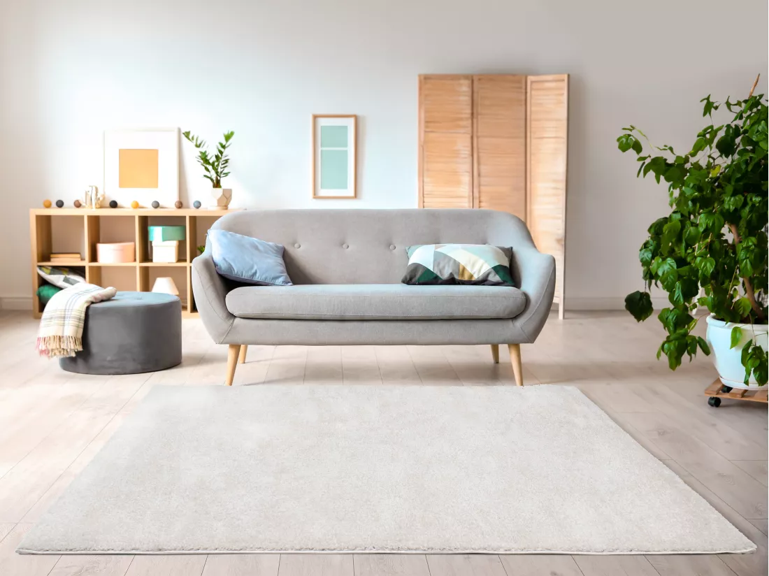 Tapis shaggy à poils longs - 200 x 300 cm - Blanc - MILINIO