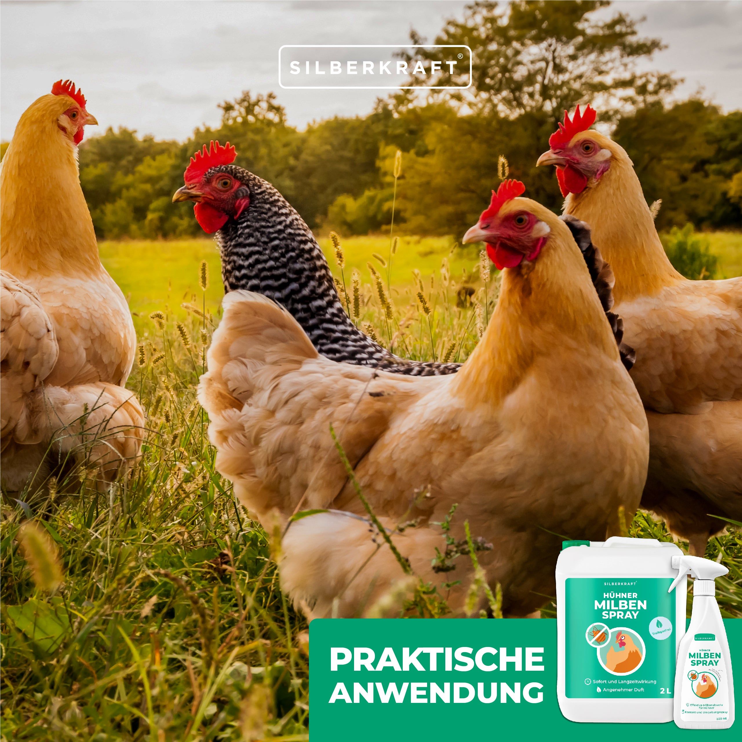 SILBERKRAFT Milbenspray Hühner
