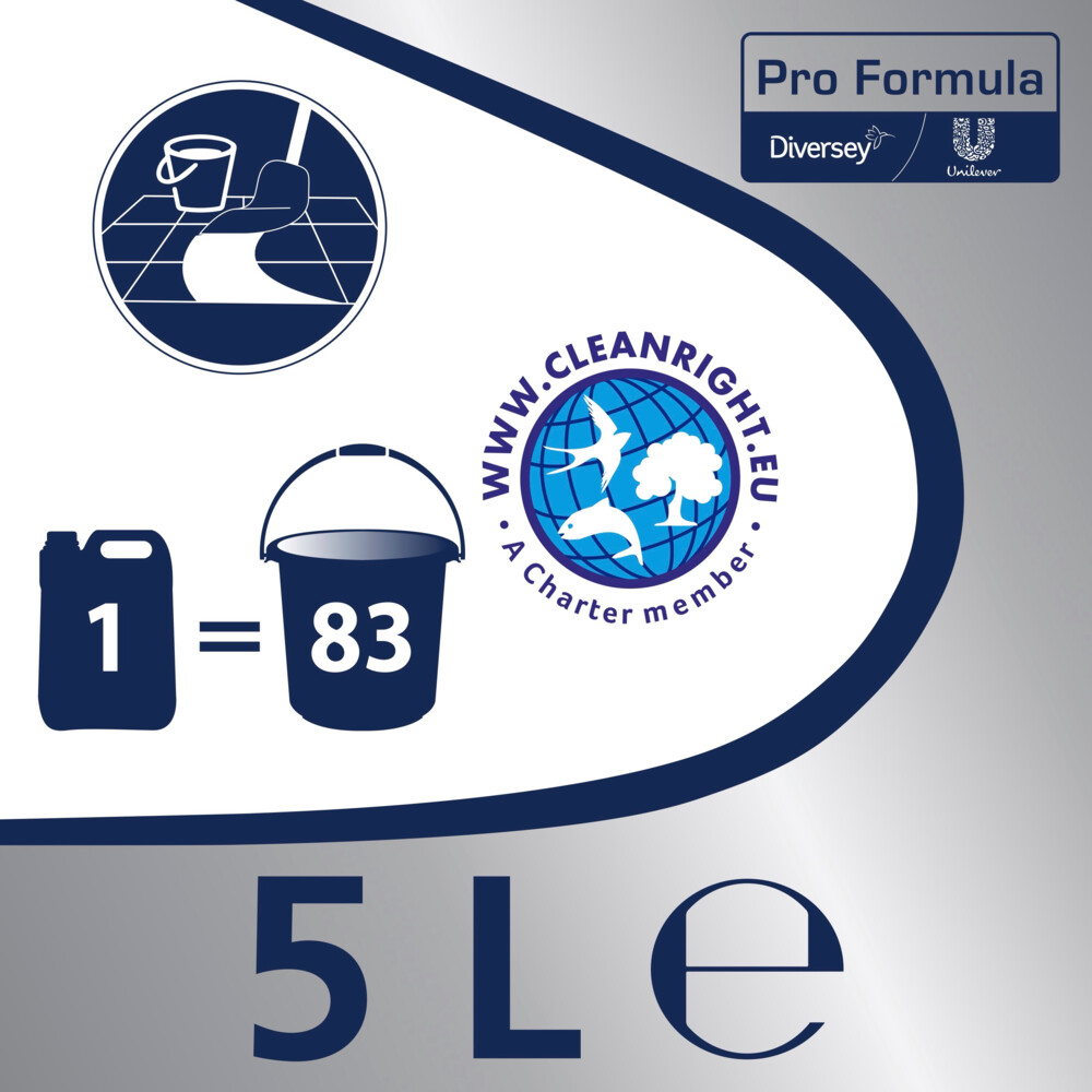 Andy Professional Allesreiniger Citroen Fris Pro Formula5 liter