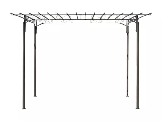 Voûte de jardin de décoration pour rosiers