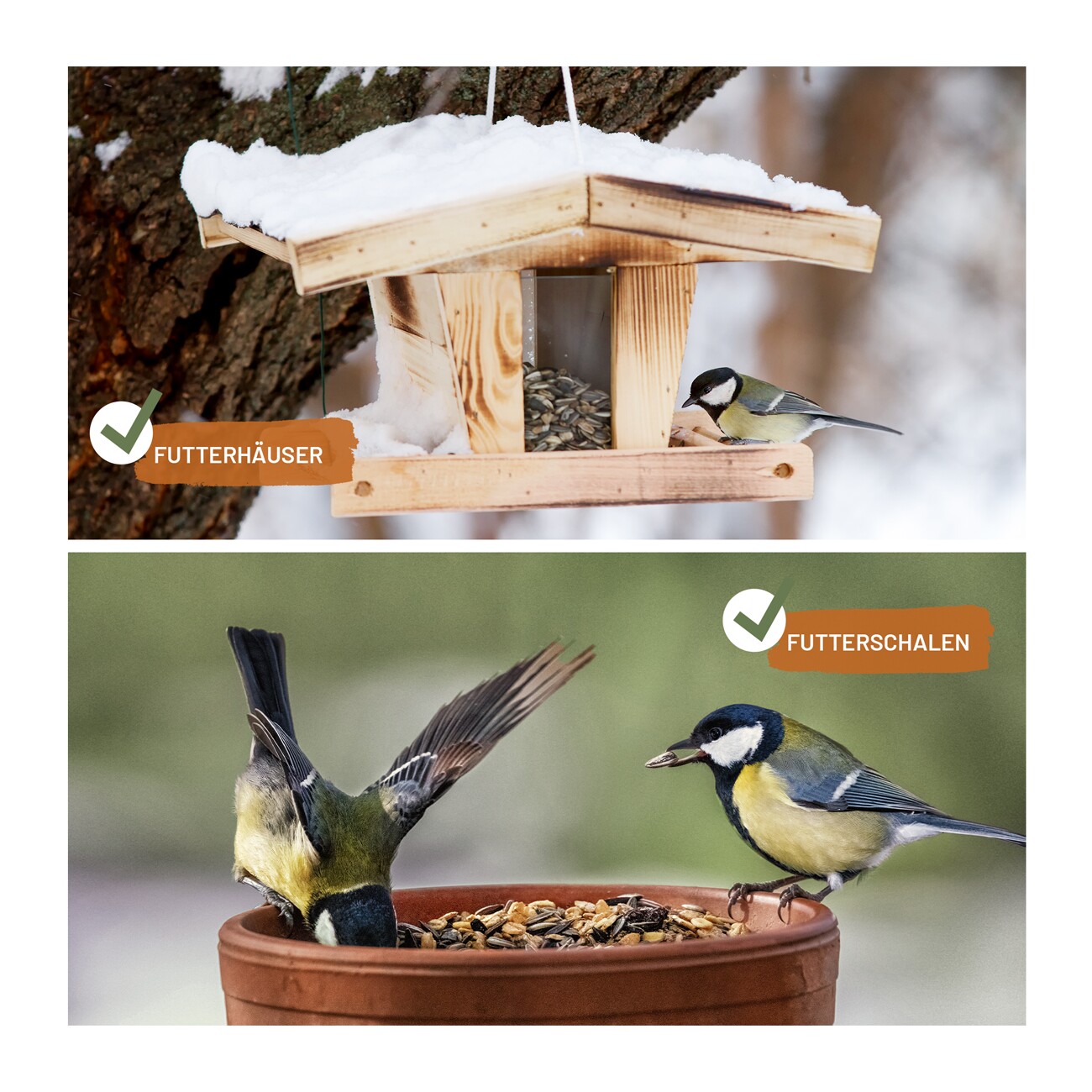 wildtier liebe Futtertraum Schalenloses Vogelfutter 5kg