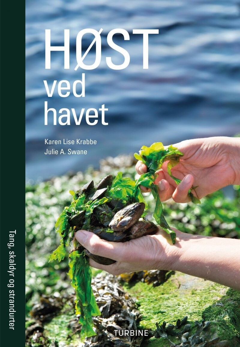 Høst Ved Havet - Karen Lise Krabbe - Bog
