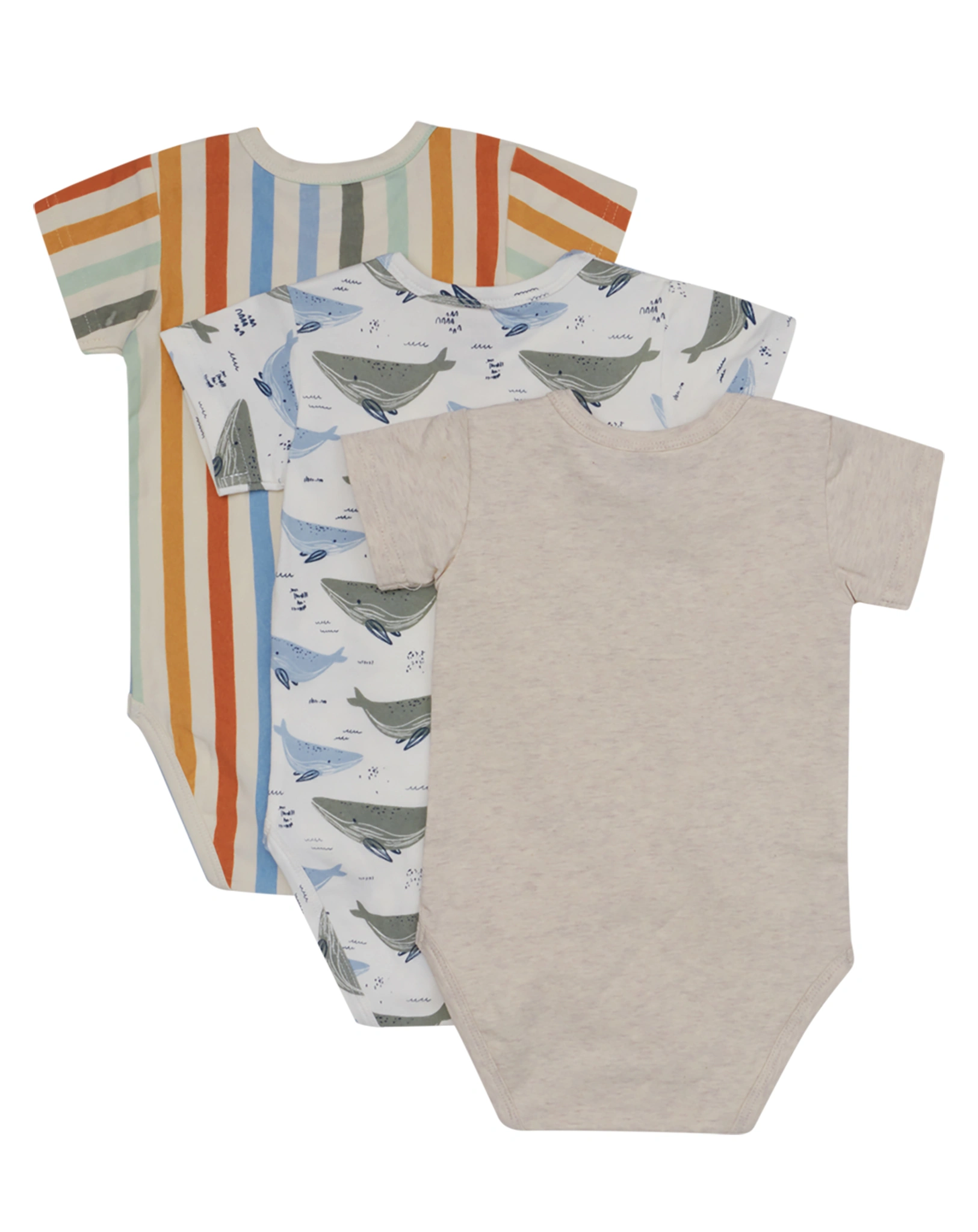Kurzarmbody BRUNO 3er Pack in whisper