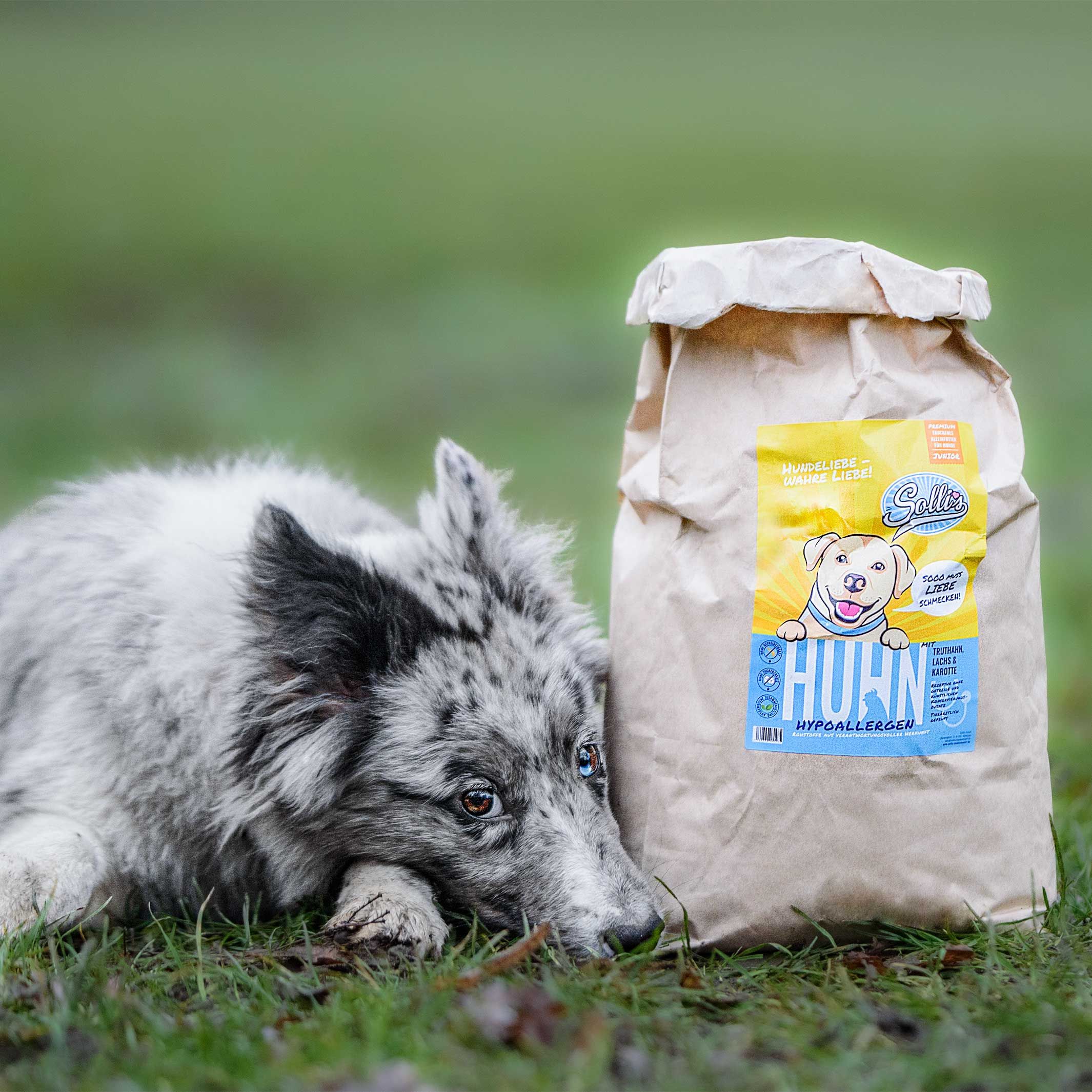 Sollis Welpenfutter für Hunde  - Trockenfutter Huhn