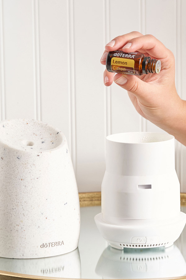 Diffuseur Roam™