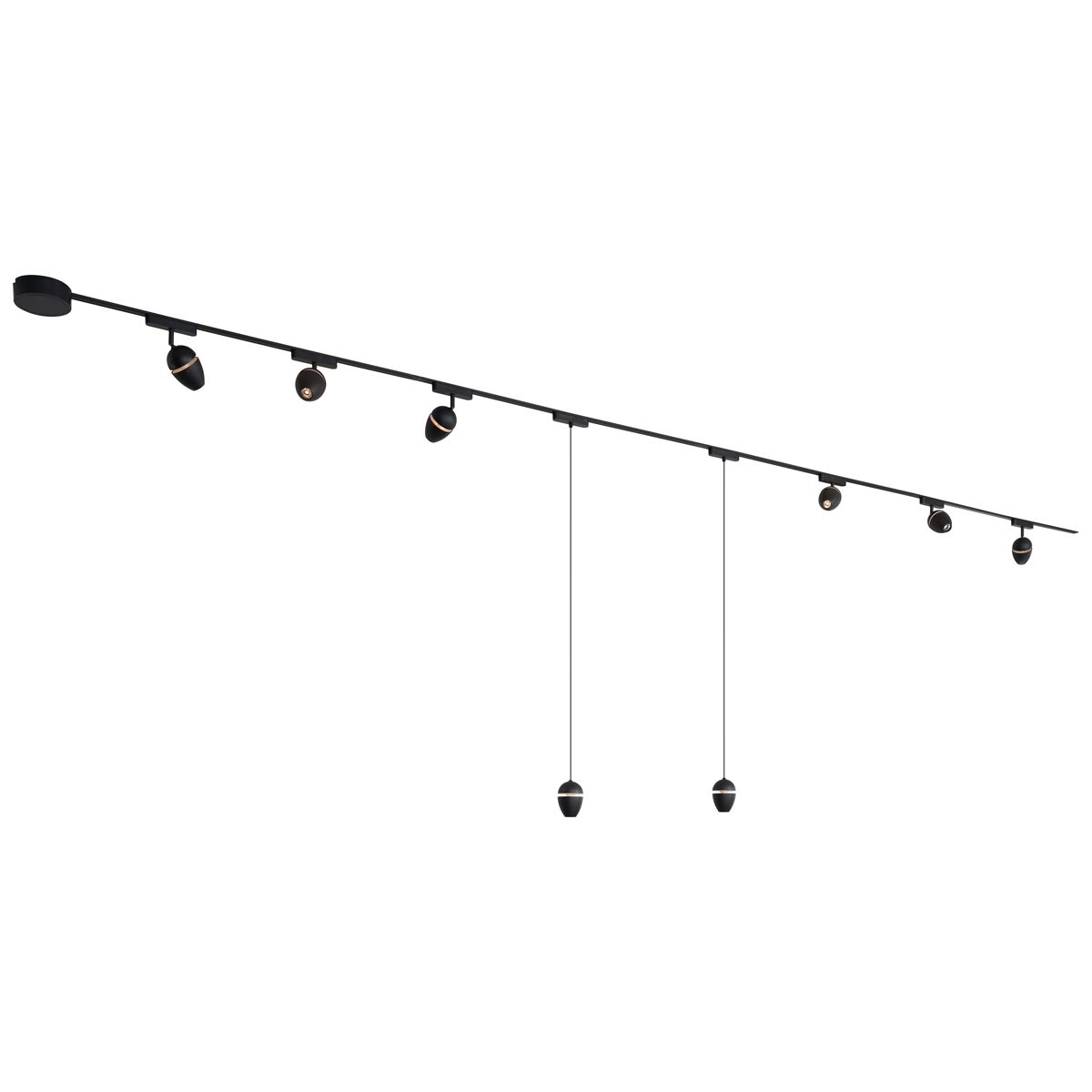 Railsysteem met 6 spots en 2 hanglampen zwart 1-fase - Magnetic Eggy