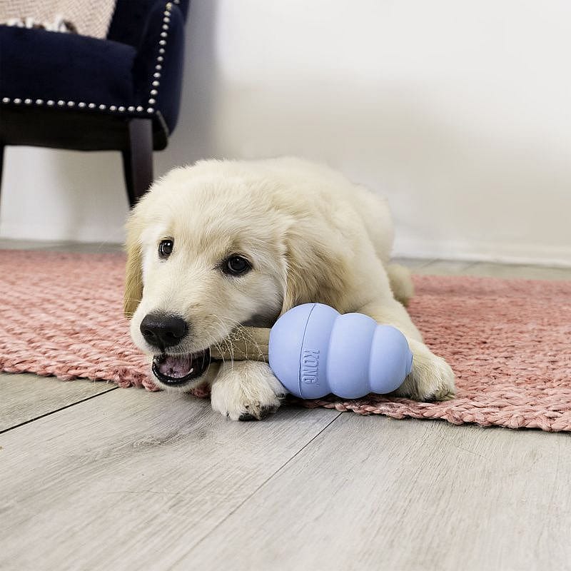 KONG Enhanced Ziggies Puppy | M/L | 15584.2