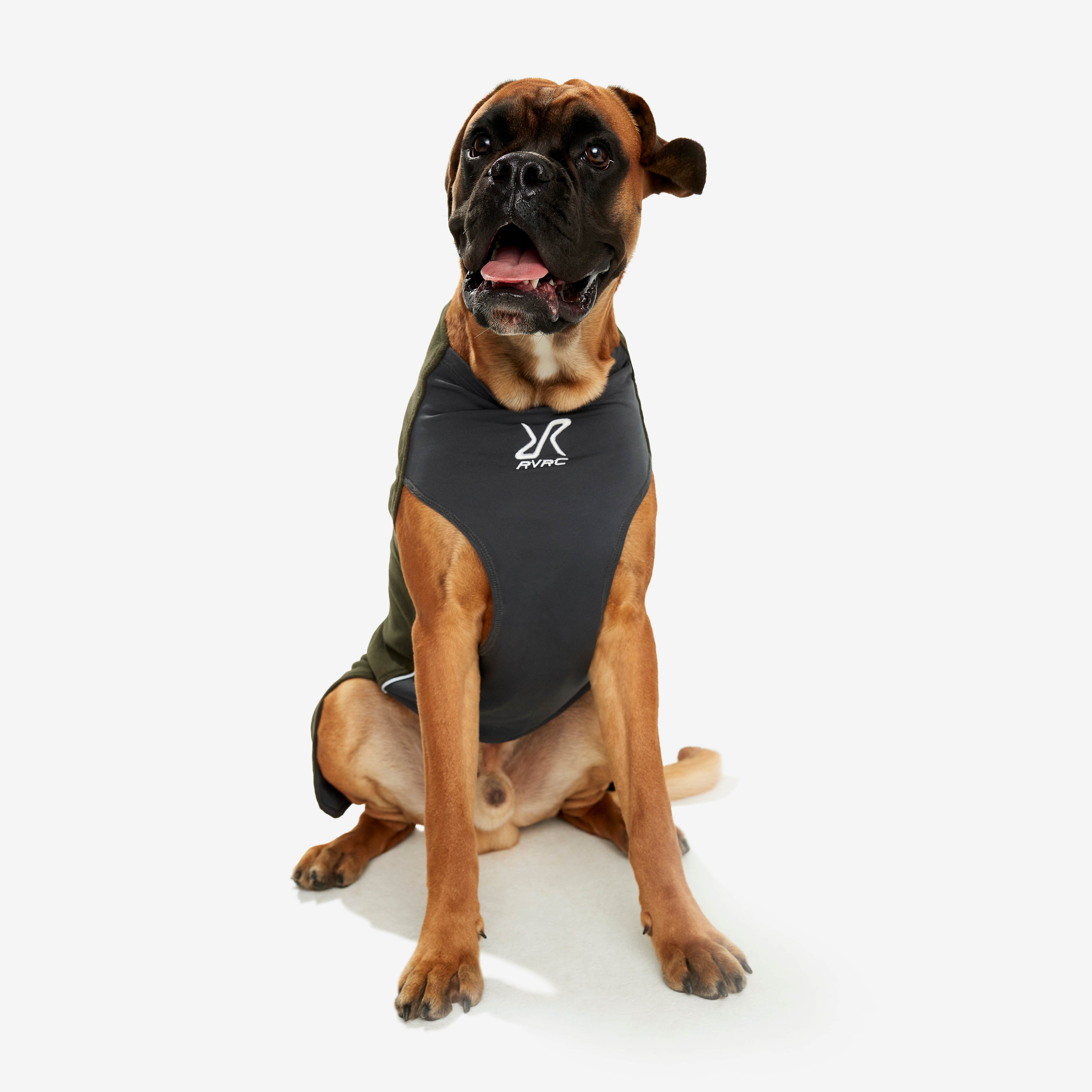 Trekker Fleece Hund Forest Night