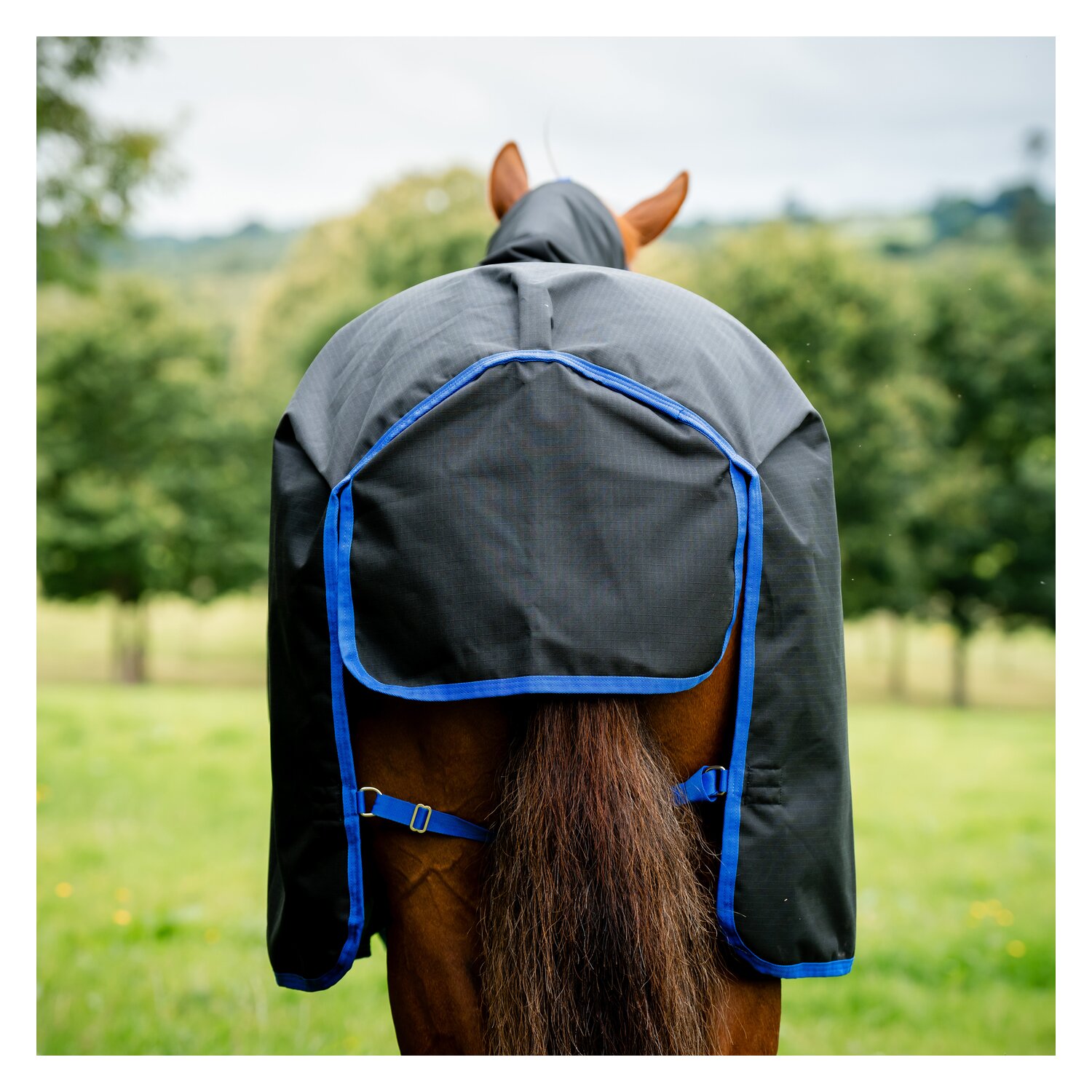 HORSEWARE Weidedecke AMIGO Ripstop 900 Fleece Lining, 50 g - black/classic blue