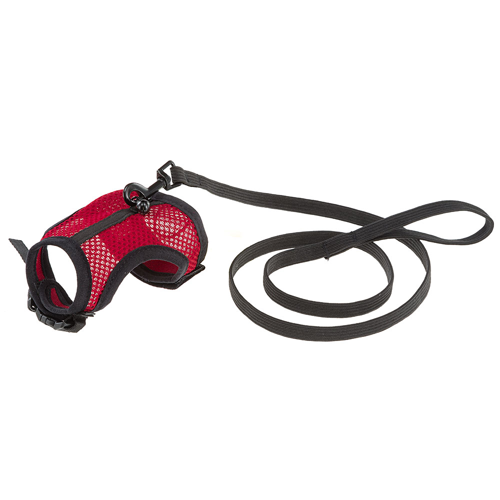 Harnais pour cochons d'inde jogging m, en filet perforé, equipé de laisse