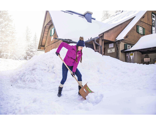 Freund multiplex sneeuwschuiver