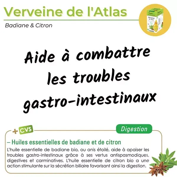 Nutrigée Orgânico Atlas Verbena Infusão 20 sachês