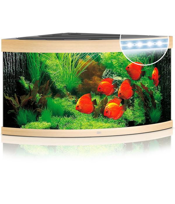JUWEL® AQUARIUM Trigon 350 LED