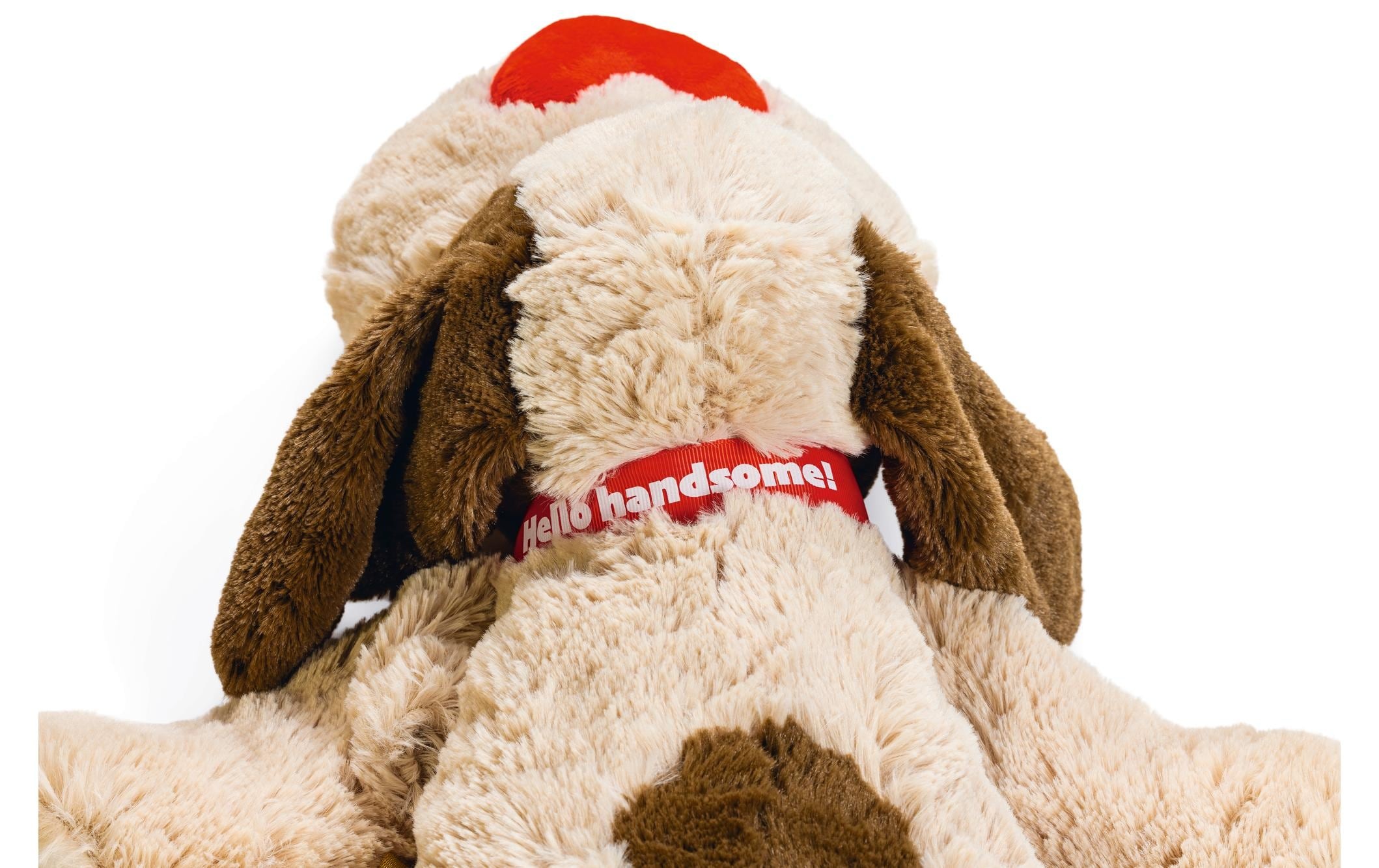 Beeztees Tier-Beschäftigungsspielzeug »Hund Joep XL, 48 x 46 x 11 cm« Plüsch
