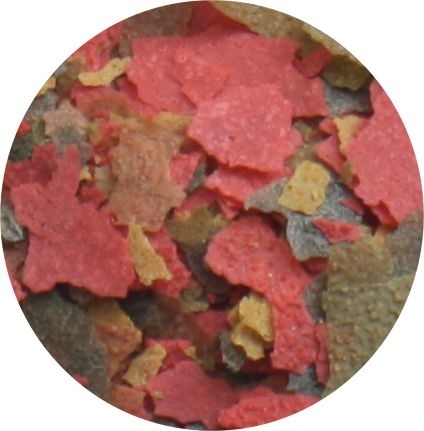 Freshwater Flakes 1000 ml x2 | Tropisch vissenvoer