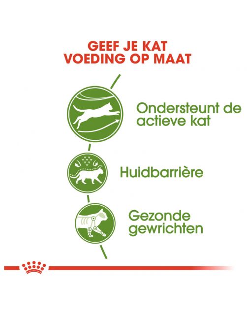 Royal Canin Outdoor - Kattenvoer