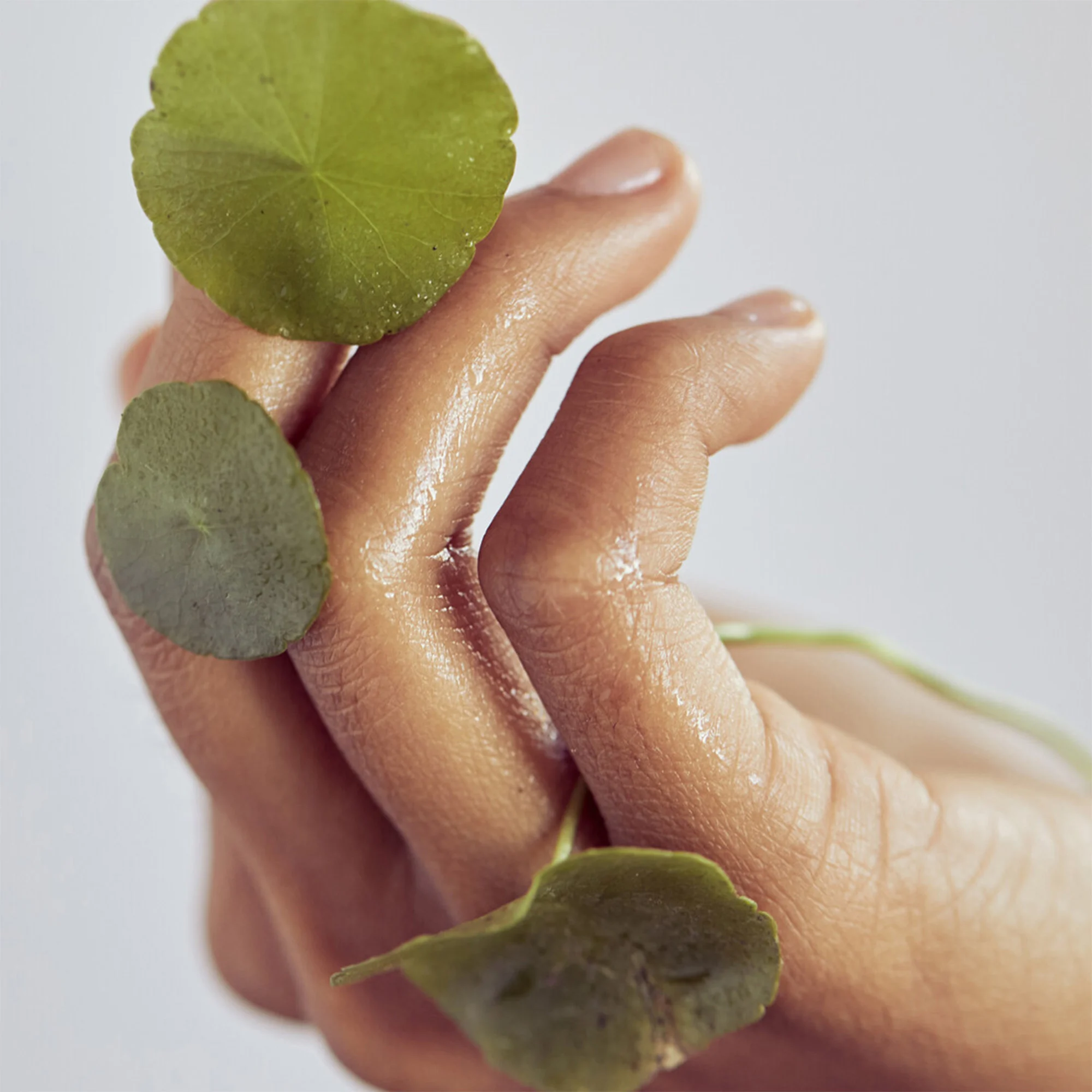 Centella Cleansing Gel - Gel Nettoyant Doux à la Centella Asiatica Apaisante |
