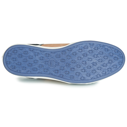 Base London - JIVE - Bleu / Camel