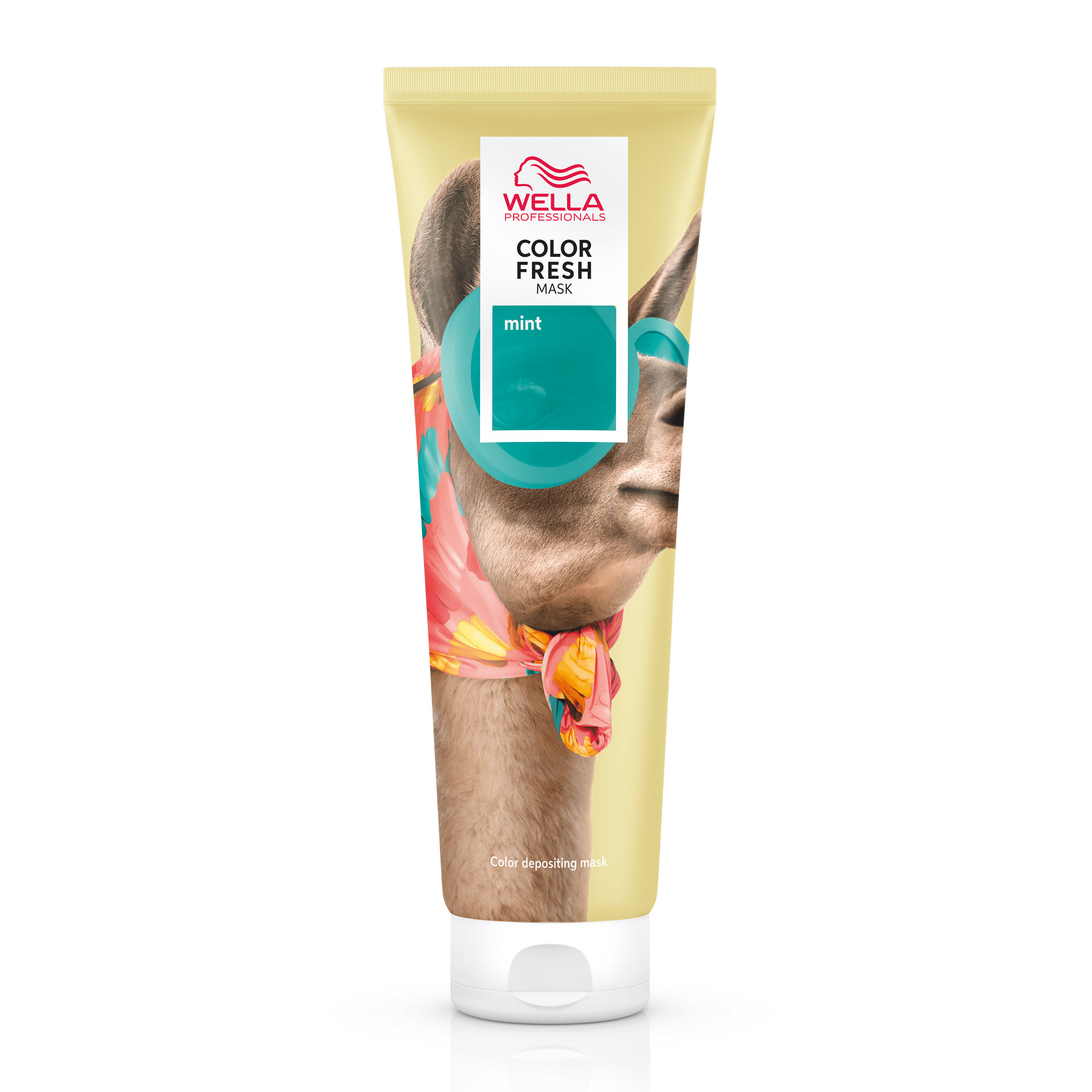 Color Fresh Mask Mint