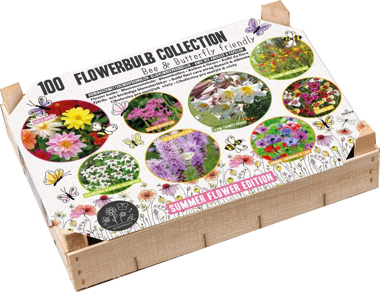 Florex Big Box Biodiversiteit 100 stuks