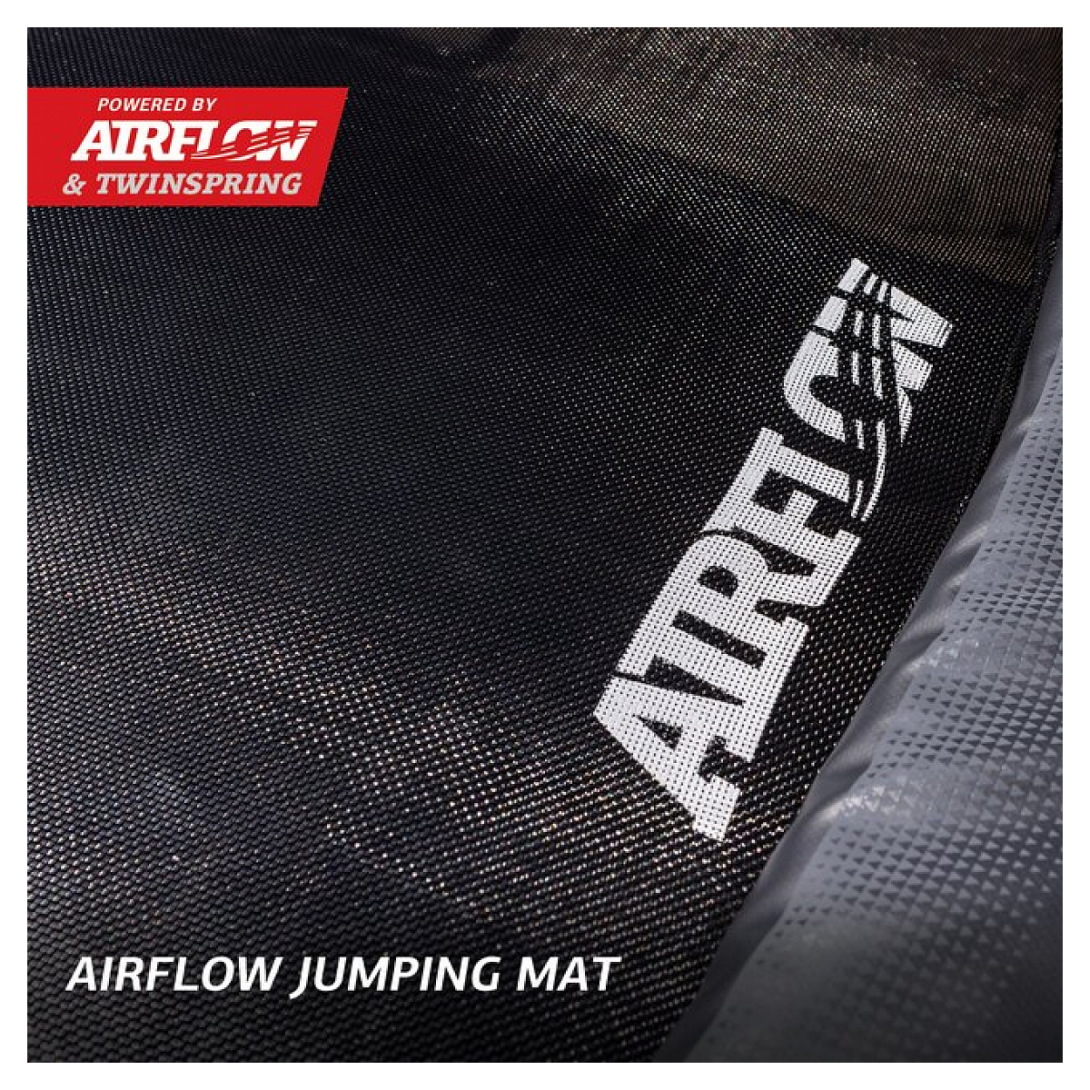 Champion regular 430 black + safety net deluxe