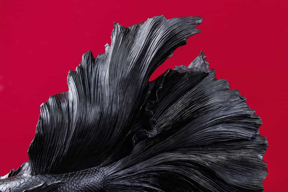 Design Deko Figur Kampffisch CROWNTAIL 65cm schwarz Betta Fisch Skulptur