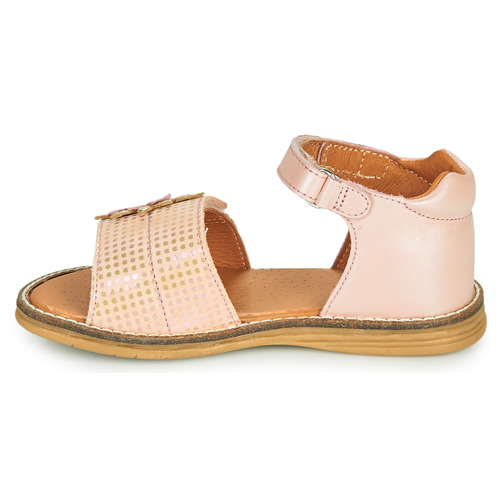 GBB - SATIA - Rose