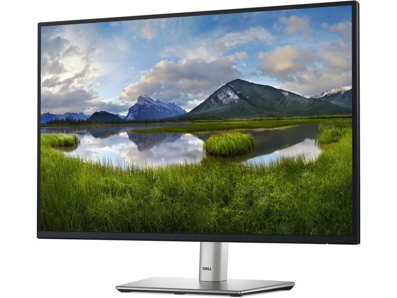 Dell Monitor P2425E Ergonomischer 24