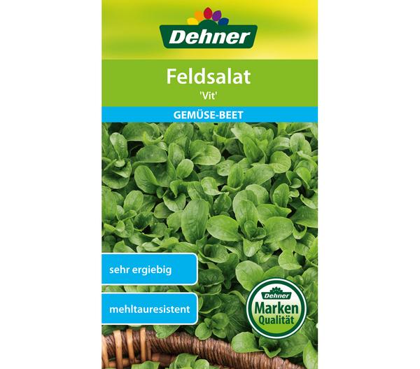 Dehner Samen Feldsalat 'Vit'