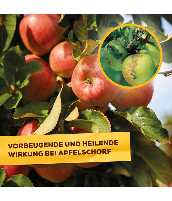 Solabiol® Pilzfrei AF, flüssig, 750 ml