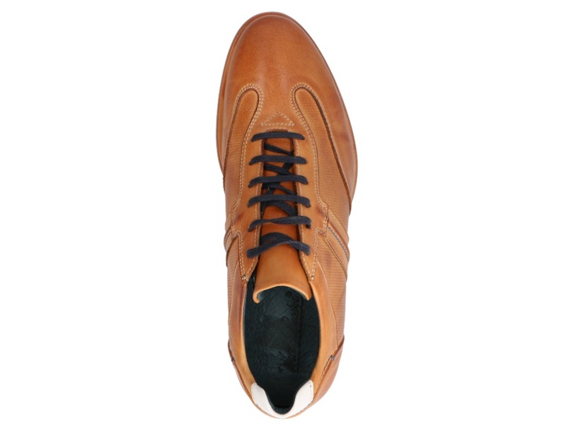 Will Lester 36305 Cognac/donkerbruin