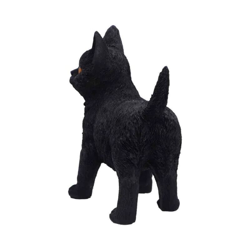 Charmed Companion | Nemesis Now Articles De Décoration