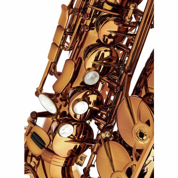Rampone & Cazzani Performance Line Alto Sax