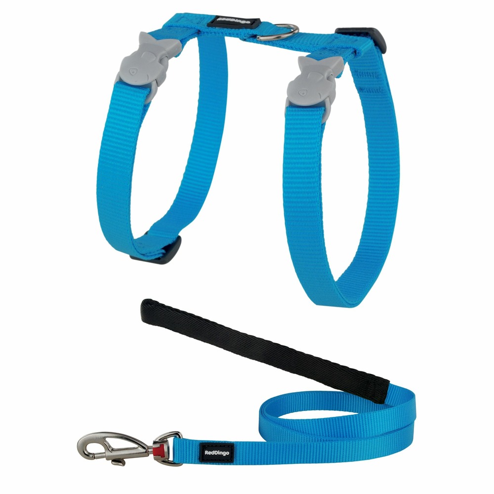 Ensemble harnais et laisse red dingo chats basic turquoise