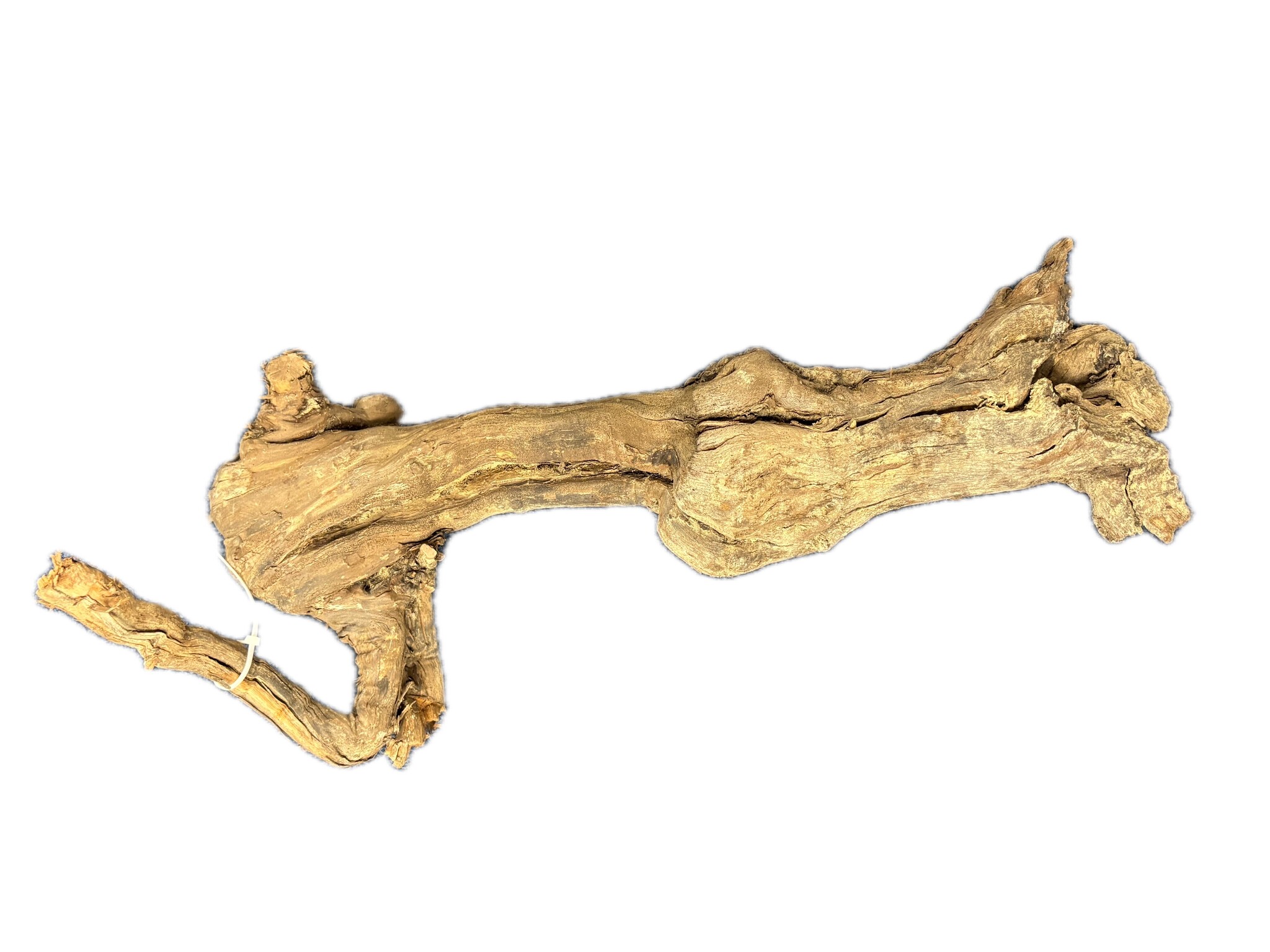 WIO Centurion Driftwood 30-50cm