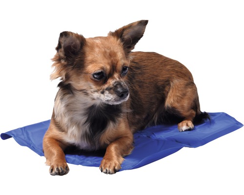 Koelmat S 40 x 30 cm blauw