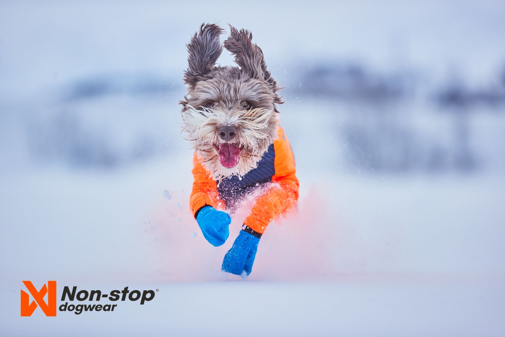 Non-Stop Dogwear Protector Snow<br>Til Tispe og Hann