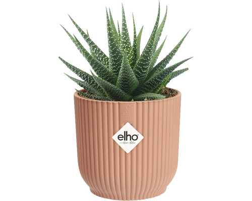 elho Vibes fold ronde mini plastic plantenbak Ø 7 cm H 6,5 cm roze