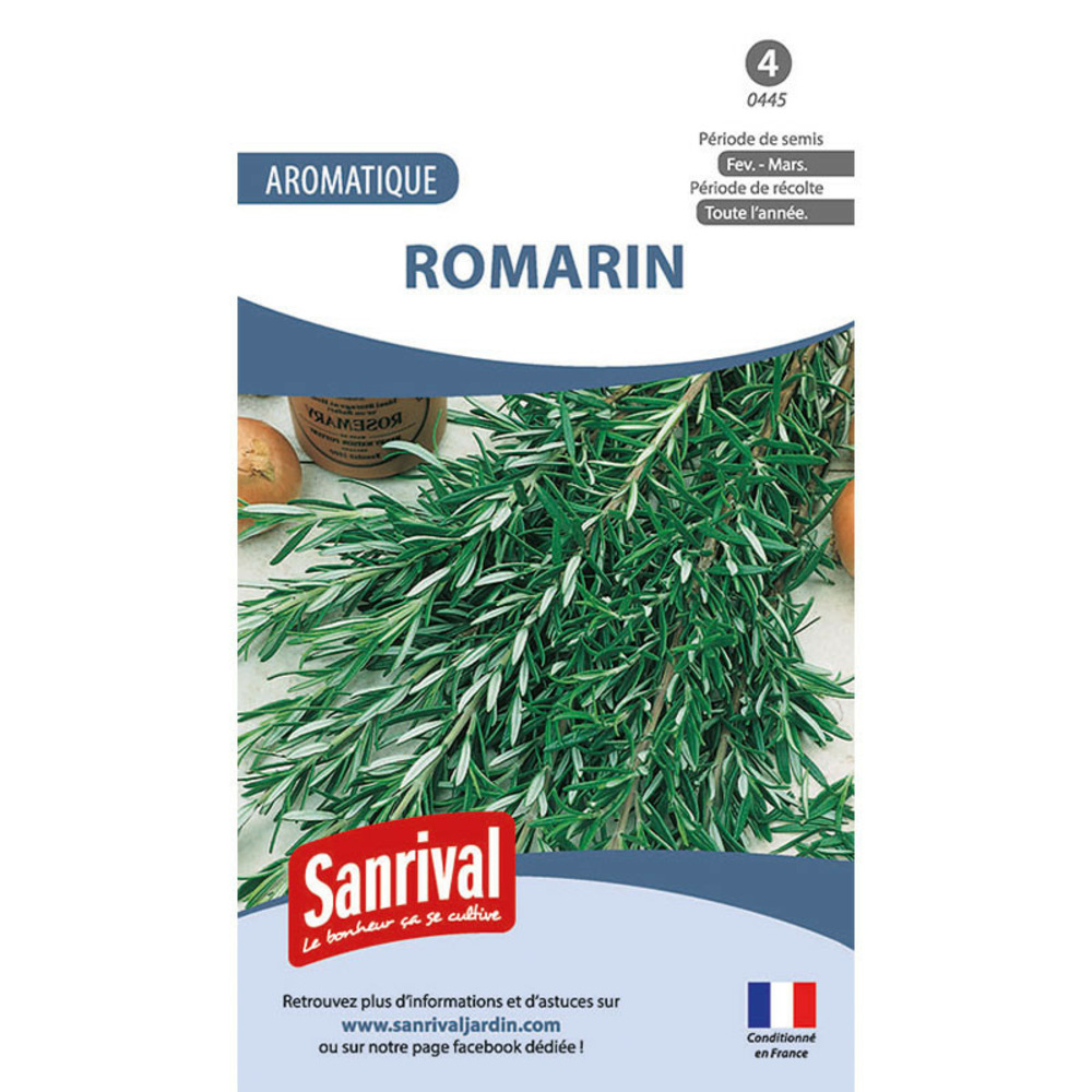 Graines romarin