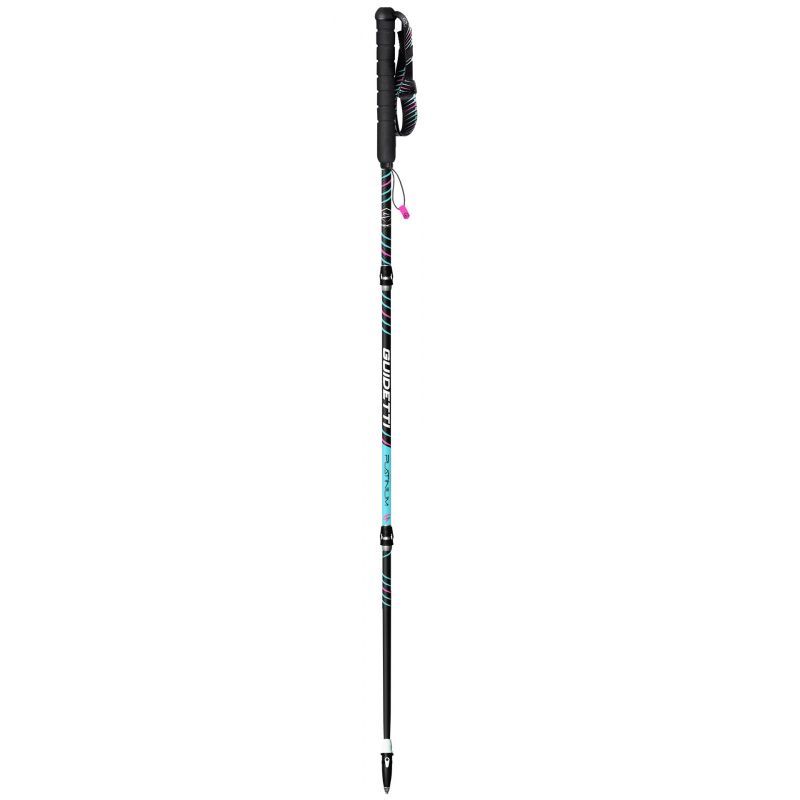 Platinium Aero Pulse - Bâtons trail