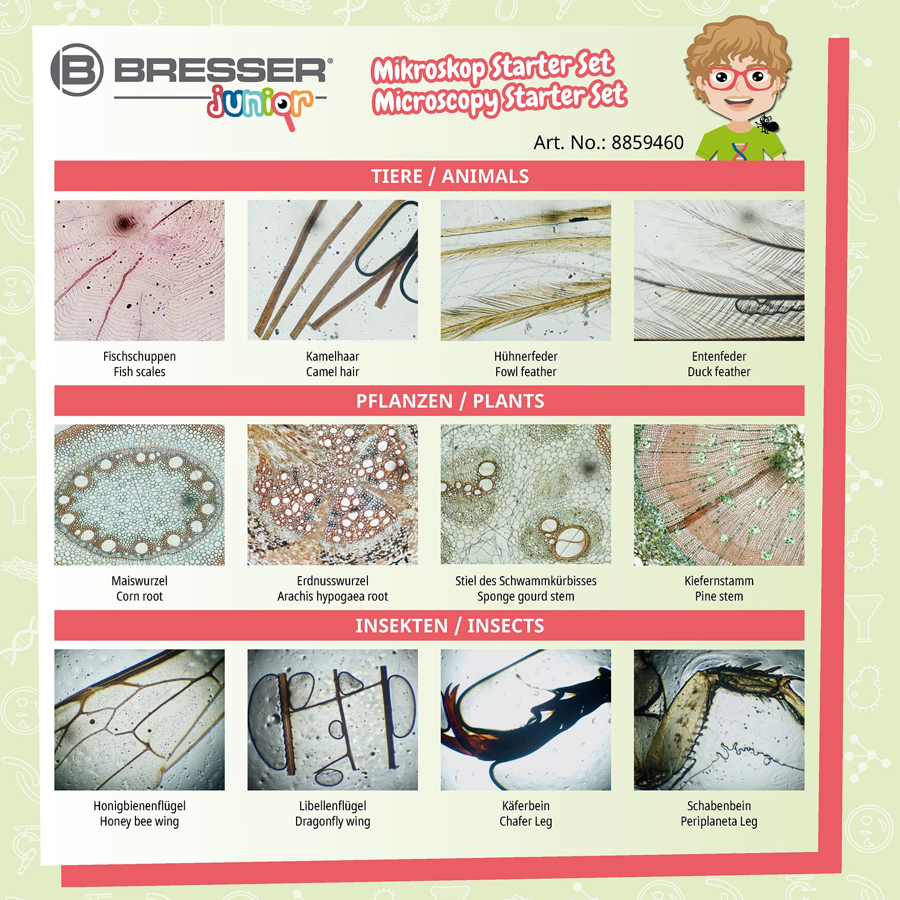 BRESSER JUNIOR 24 Dauerpräparate Mikroskop-Starter-Set