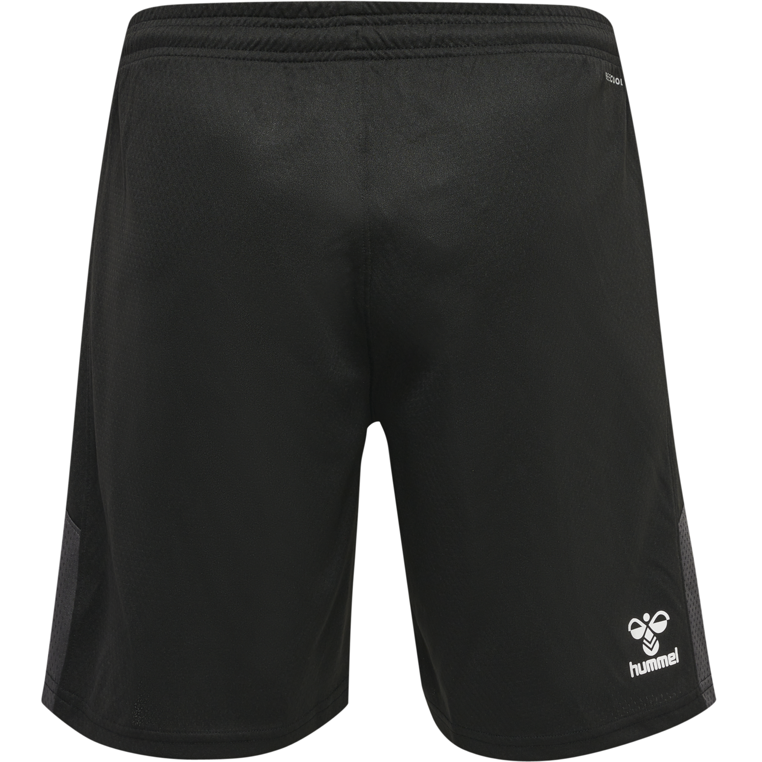 hmlLEAD TRAINER SHORTS