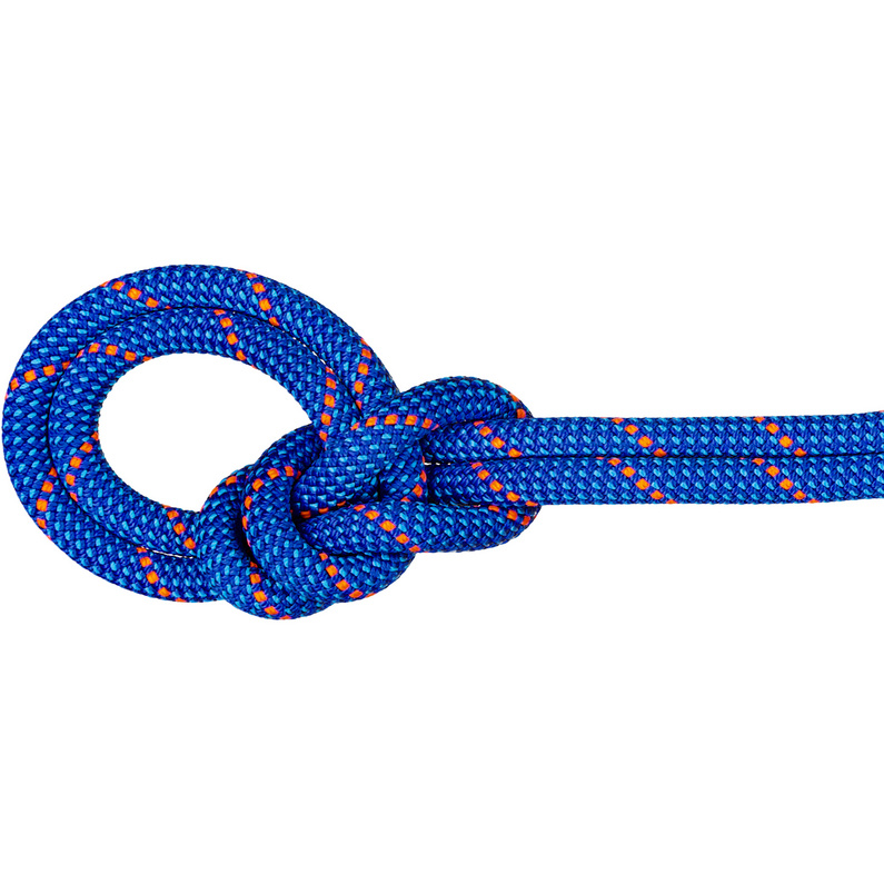 Mammut 9.5 Crag Dry Kletterseil