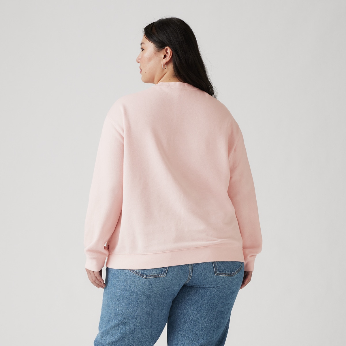 Levi's® Plus Sweatshirt »PL GR EVERYDAY CREW«