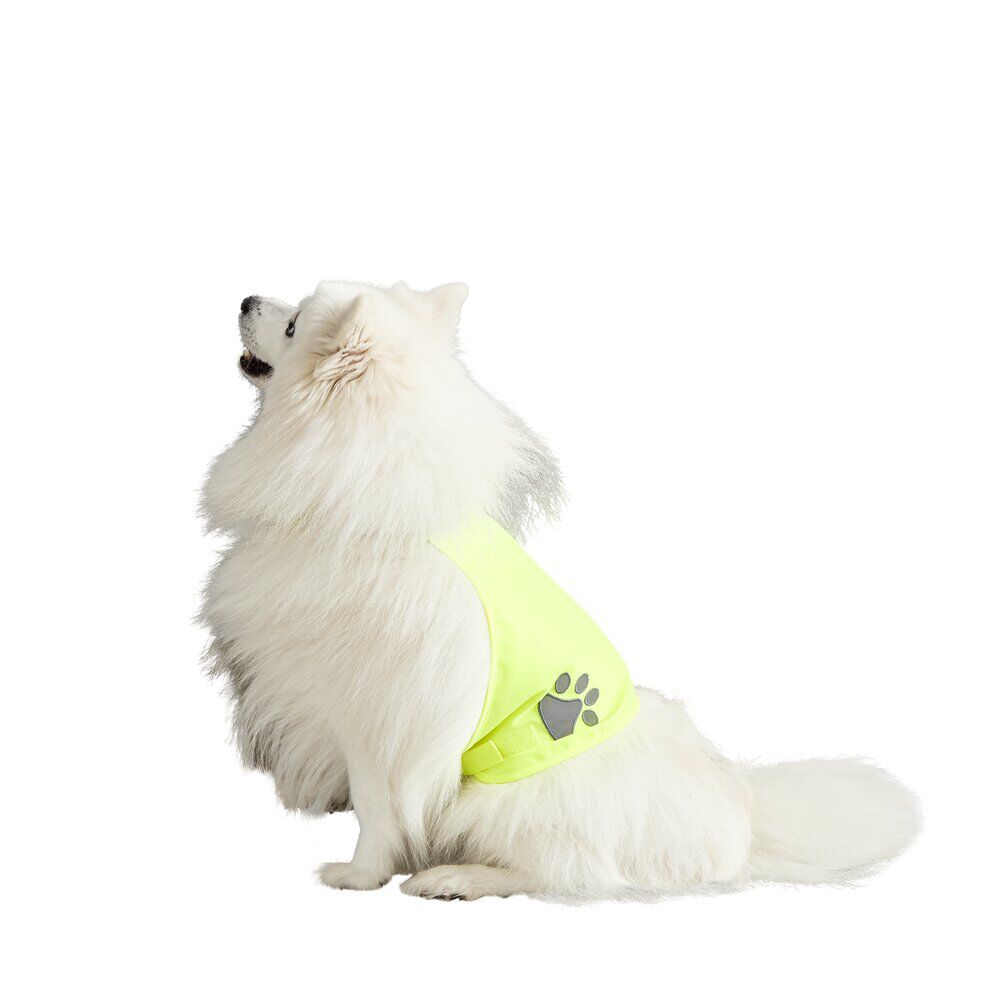 Gilet de sécurité pour chien réfléchissant Taille M