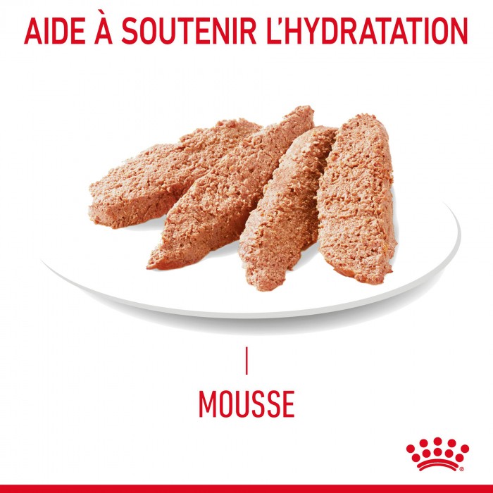 ROYAL CANIN Hair & Skin Care en Mousse – Pâtée pour chat